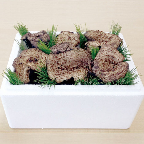 [강원도 양양 출고]국내산 냉동 능이버섯 1kg